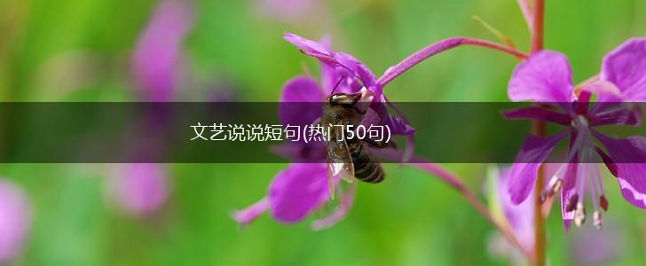 文艺说说短句(热门50句),第1张