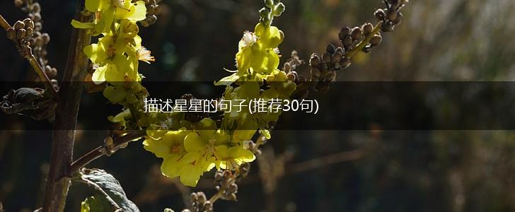 描述星星的句子(推荐30句),第1张 描述星星的句子(推荐30句),第1张