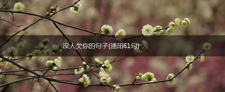 没人欠你的句子(通用61句),第1张