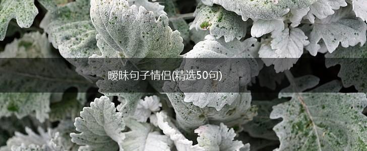暧昧句子情侣(精选50句),第1张