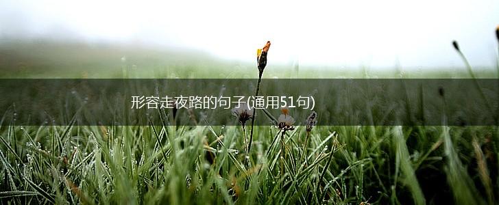形容走夜路的句子(通用51句),第1张
