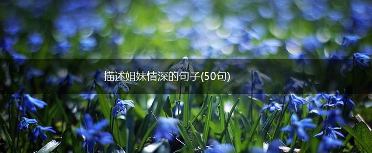 描述姐妹情深的句子(50句),第1张