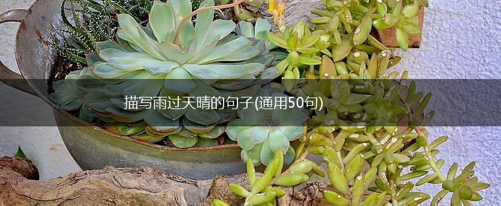 描写雨过天晴的句子(通用50句),第1张