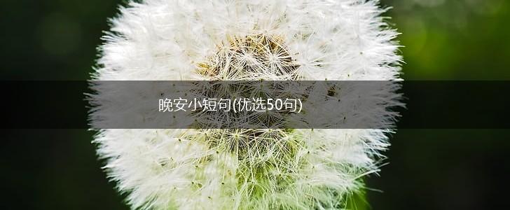 晚安小短句(优选50句),第1张