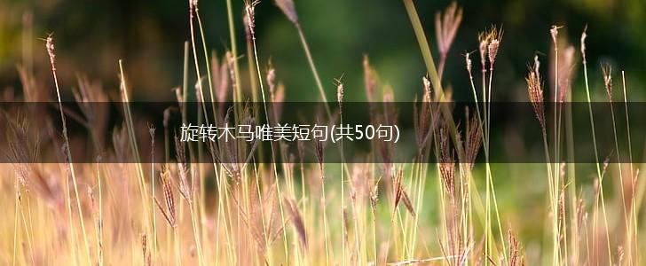 旋转木马唯美短句(共50句),第1张