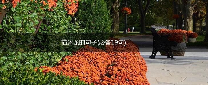 描述龙的句子(必备19句),第1张