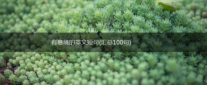 有意境的英文短句(汇总100句),第1张