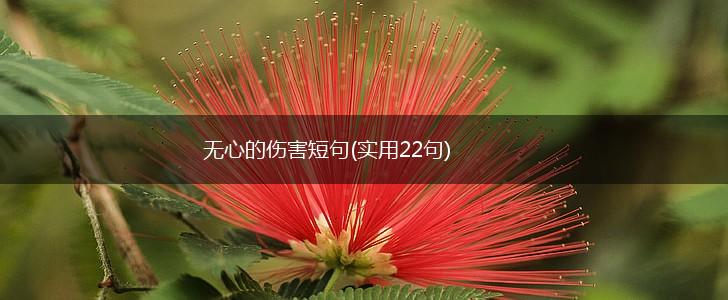 无心的伤害短句(实用22句),第1张