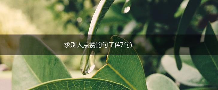 求别人点赞的句子(47句),第1张