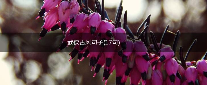 武侠古风句子(17句),第1张