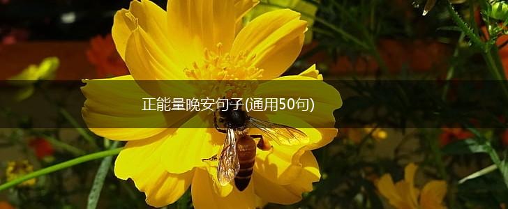 正能量晚安句子(通用50句),第1张