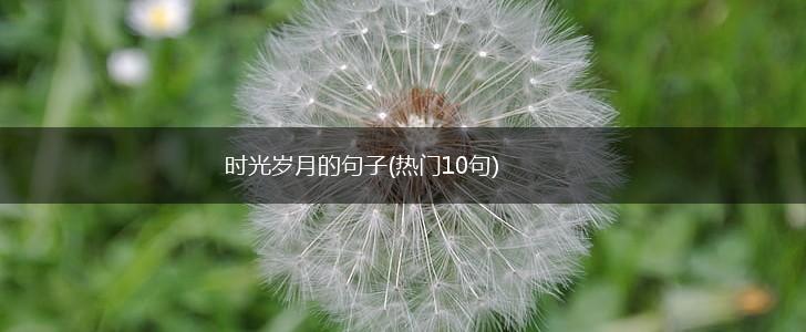 时光岁月的句子(热门10句),第1张