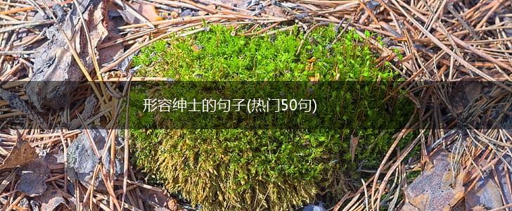 形容绅士的句子(热门50句),第1张