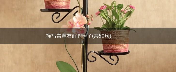 描写青春友谊的句子(共50句),第1张