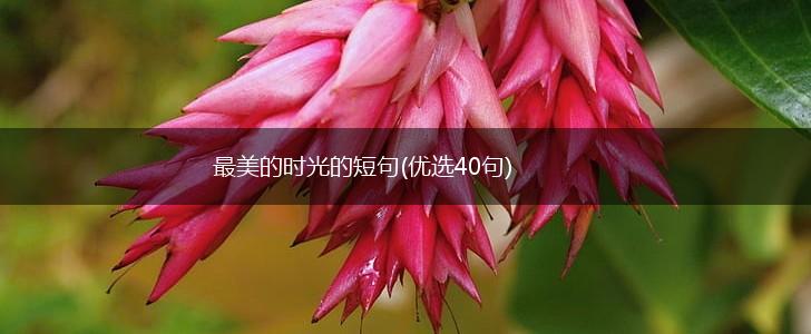 最美的时光的短句(优选40句),第1张