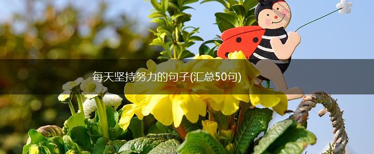 每天坚持努力的句子(汇总50句),第1张