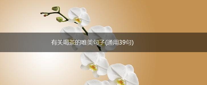 有关喝茶的唯美句子(通用39句),第1张