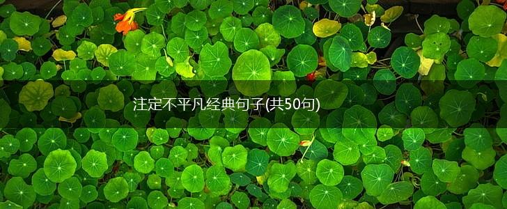 注定不平凡经典句子(共50句),第1张