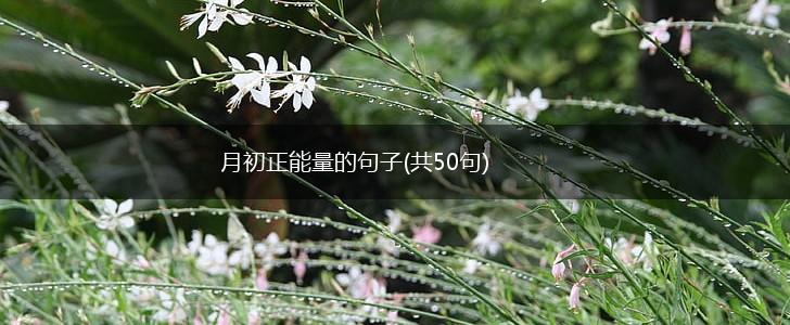 月初正能量的句子(共50句),第1张