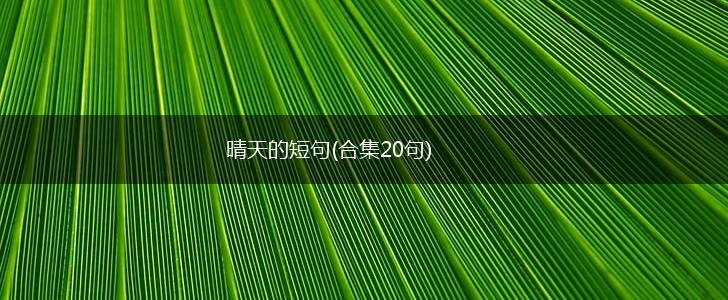 晴天的短句(合集20句),第1张
