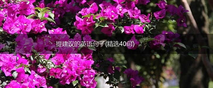 提建议的英语句子(精选40句),第1张