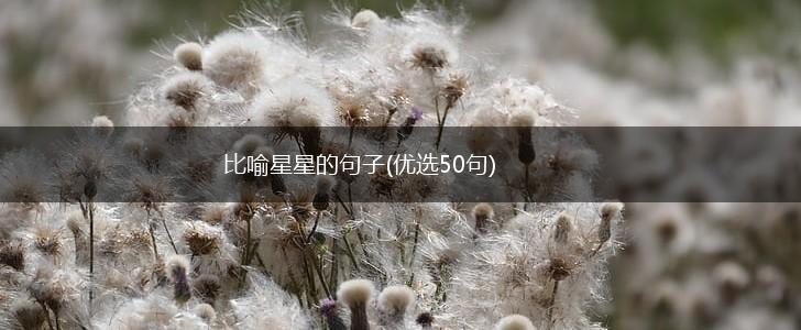 比喻星星的句子(优选50句),第1张