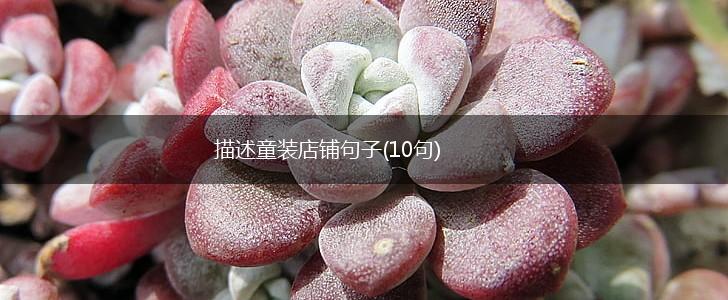 描述童装店铺句子(10句),第1张