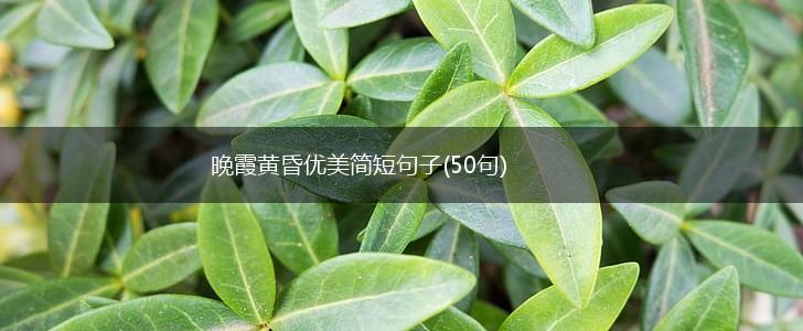 晚霞黄昏优美简短句子(50句),第1张