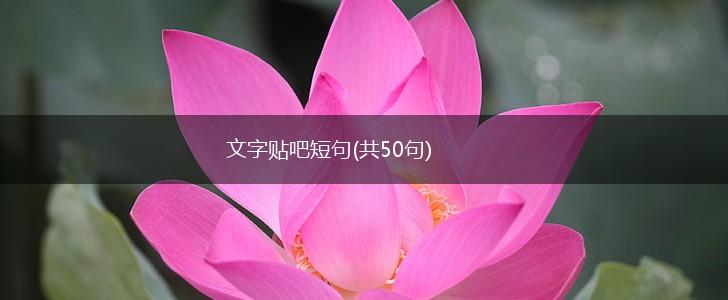 文字贴吧短句(共50句),第1张
