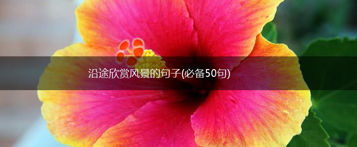 沿途欣赏风景的句子(必备50句),第1张