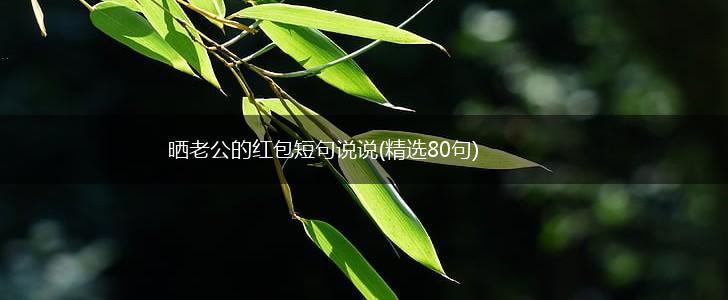 晒老公的红包短句说说(精选80句),第1张