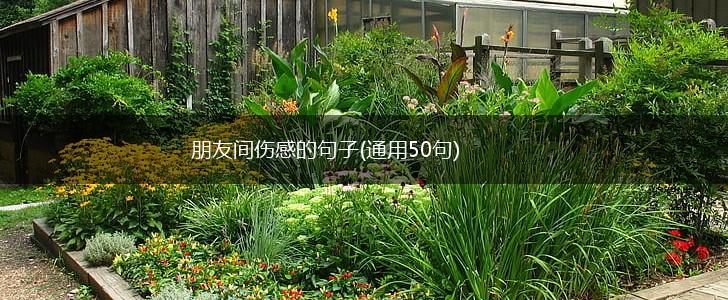 朋友间伤感的句子(通用50句),第1张