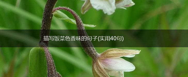 描写饭菜色香味的句子(实用40句),第1张