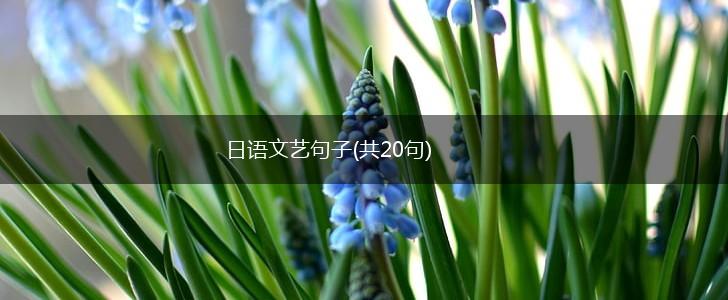日语文艺句子(共20句),第1张