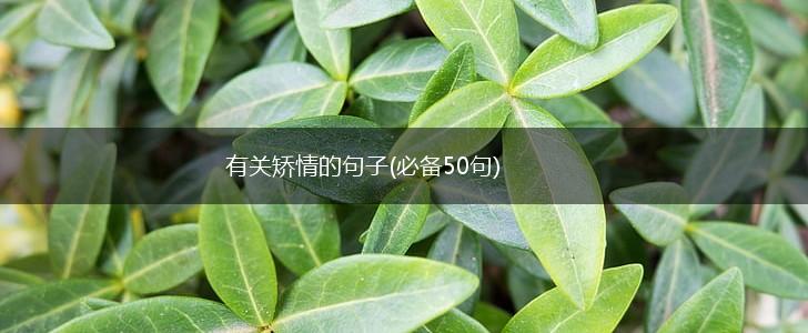 有关矫情的句子(必备50句),第1张