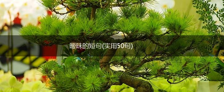 暧昧的短句(实用50句),第1张