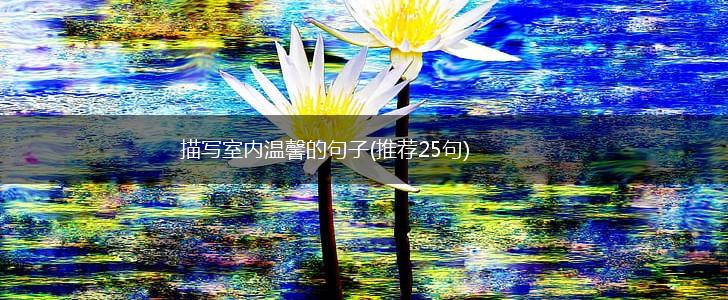 描写室内温馨的句子(推荐25句),第1张