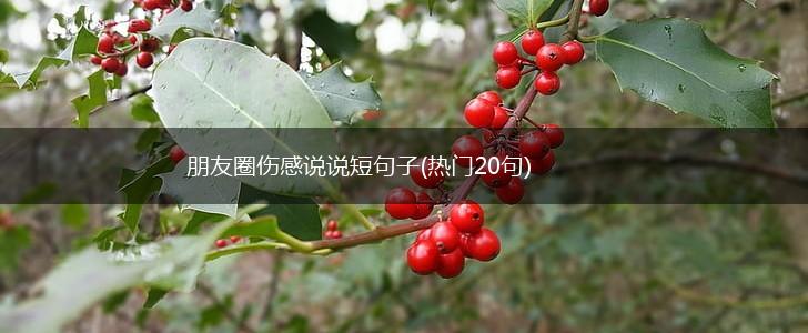 朋友圈伤感说说短句子(热门20句),第1张
