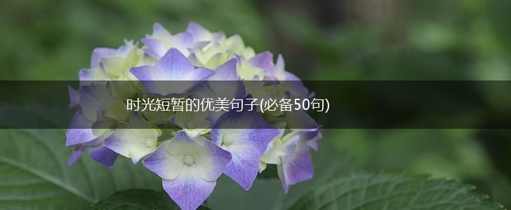 时光短暂的优美句子(必备50句),第1张