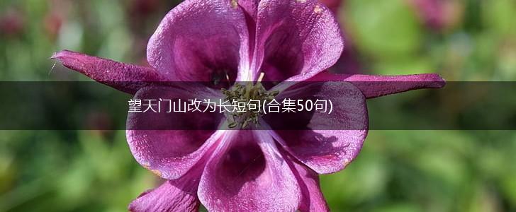 望天门山改为长短句(合集50句),第1张