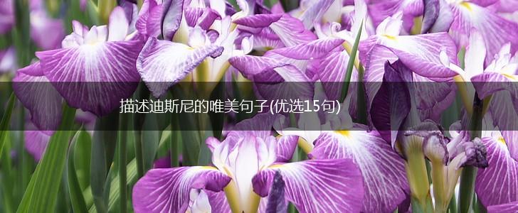 描述迪斯尼的唯美句子(优选15句),第1张