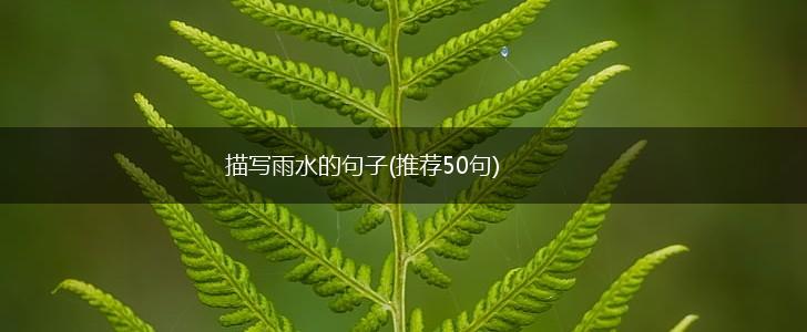 描写雨水的句子(推荐50句),第1张