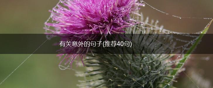有关意外的句子(推荐40句),第1张
