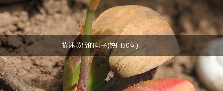 描述黄昏的句子(热门50句),第1张