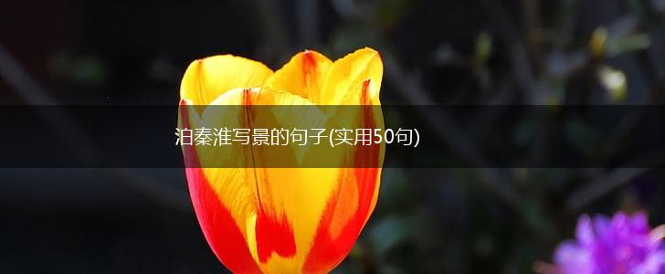 泊秦淮写景的句子(实用50句),第1张
