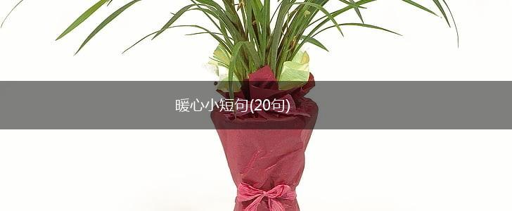 暖心小短句(20句),第1张