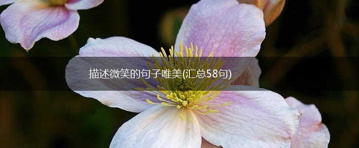 描述微笑的句子唯美(汇总58句),第1张