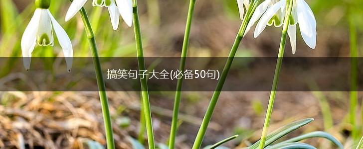 搞笑句子大全(必备50句),第1张