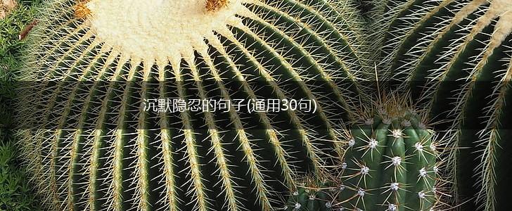 沉默隐忍的句子(通用30句),第1张