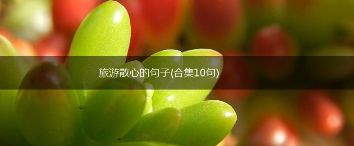 旅游散心的句子(合集10句),第1张